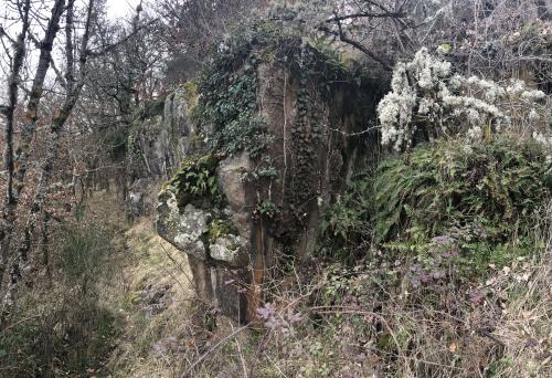 Tour de Rognon [19-03-2022](IMG_4568).jpg